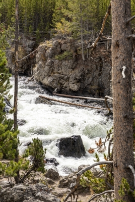 Firehole River Yellowstone NP 2024